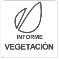 ivegetacion