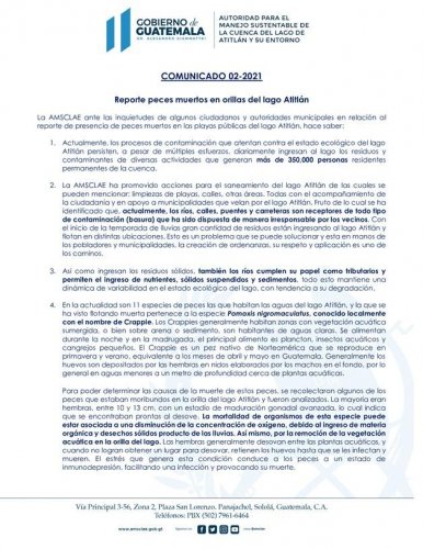 Reporte peces muertos en orillas del lago Atitlán