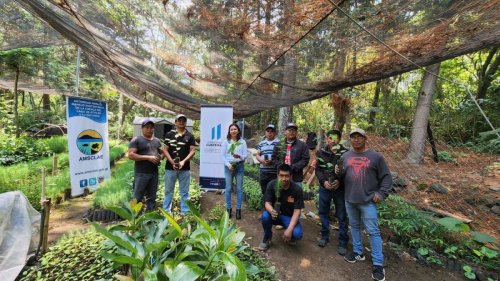 AMSCLAE contribuye con 10,000 plántulas para la conservación de la Cuenca del Lago Atitlán