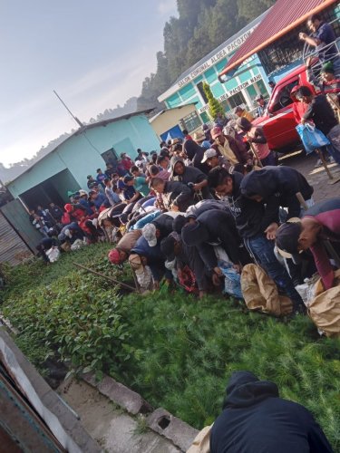 AMSCLAE contribuye con 10,000 plántulas para la conservación de la Cuenca del Lago Atitlán