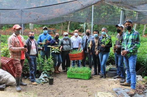 AMSCLAE y MAGA entregan 2320 plántulas para reforestar zonas de recarga hídrica 