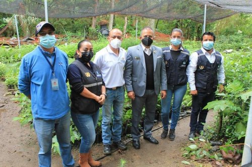 AMSCLAE y MAGA entregan 2320 plántulas para reforestar zonas de recarga hídrica 