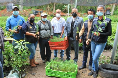 AMSCLAE y MAGA entregan 2320 plántulas para reforestar zonas de recarga hídrica 