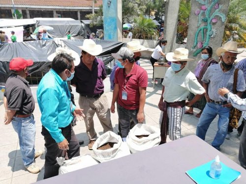 Abono orgánico es comercializado en Santiago Atitlán