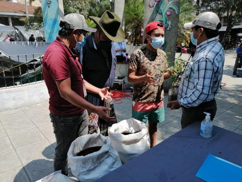 Abono orgánico es comercializado en Santiago Atitlán
