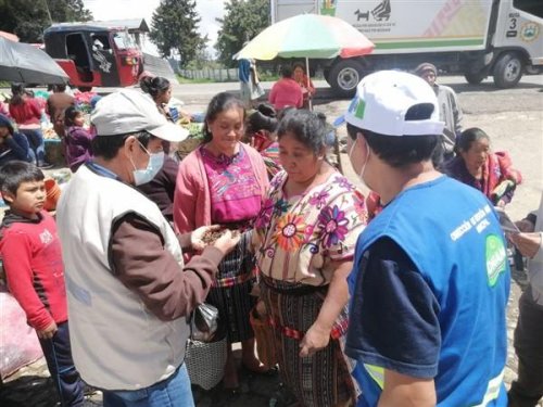Estrategia de Comercialización en distintas áreas agrícolas aledañas a la Cuenca del Lago Atitlán