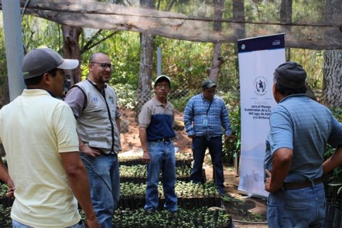 AMSCLAE entrega plantulas a beneficiarios de la cuenca del lago Atitlán