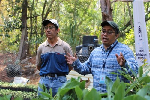 AMSCLAE entrega plantulas a beneficiarios de la cuenca del lago Atitlán