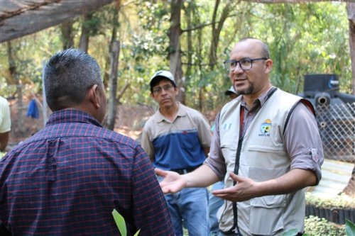 AMSCLAE entrega plantulas a beneficiarios de la cuenca del lago Atitlán