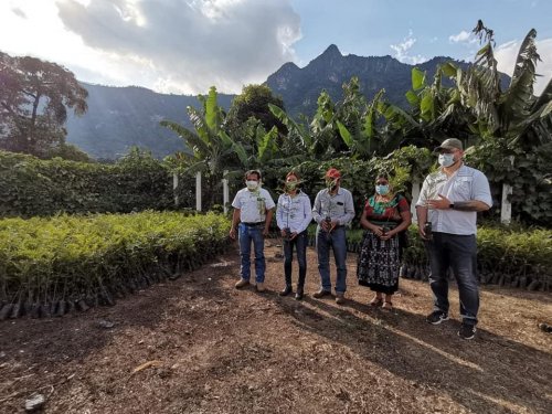 Alianza interinstitucional beneficiará a plantaciones de café en San Juan la Laguna