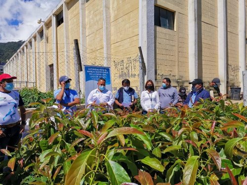 Agricultores de Santa Lucía Utatlán reciben plántulas de aguacate hass