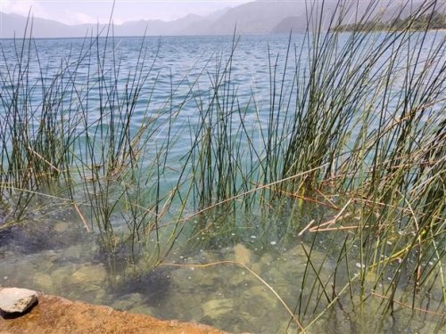 beneficio del ecosistema del lago Atitlán