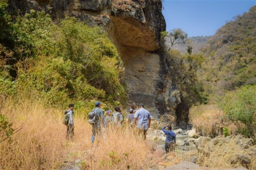 Promoviendo el desarrollo forestal sostenible en la Cuenca del Lago Atitlán