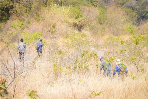 Promoviendo el desarrollo forestal sostenible en la Cuenca del Lago Atitlán