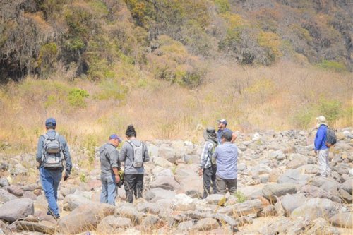 Promoviendo el desarrollo forestal sostenible en la Cuenca del Lago Atitlán