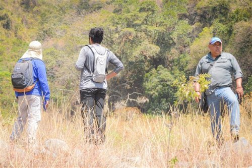 Promoviendo el desarrollo forestal sostenible en la Cuenca del Lago Atitlán