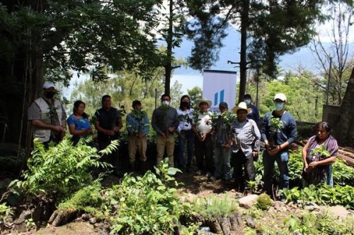 Caficultores beneficiarios establecerán prácticas de conservación de suelos en áreas susceptibles a la erosión