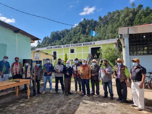 AMSCLAE y Municipalidad de Nahualá reforestan parte alta de la cuenca