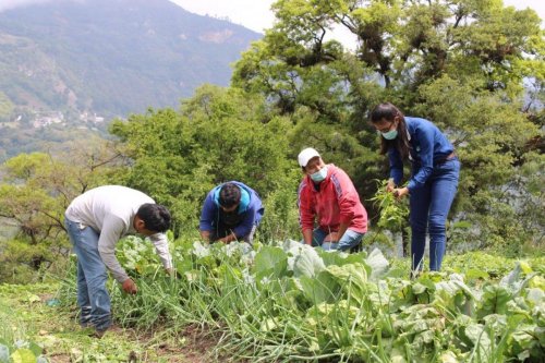 Lanzamiento oficial mejorador de Suelos "Compost Atitlán" 