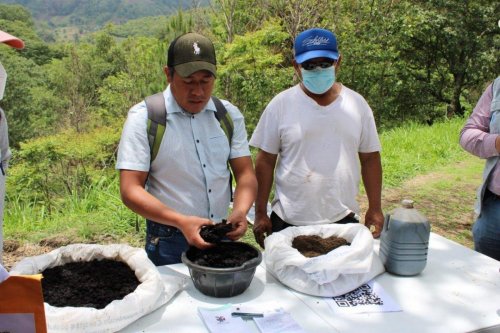Lanzamiento oficial mejorador de Suelos "Compost Atitlán" 