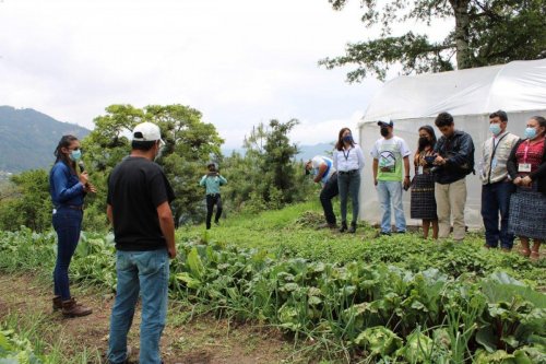 Lanzamiento oficial mejorador de Suelos "Compost Atitlán" 