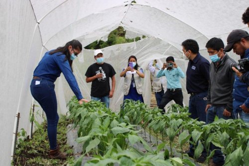 Lanzamiento oficial mejorador de Suelos "Compost Atitlán" 