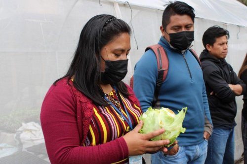 Lanzamiento oficial mejorador de Suelos "Compost Atitlán" 