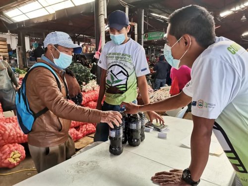 Promoción de abono orgánico "Compost Atitlán"