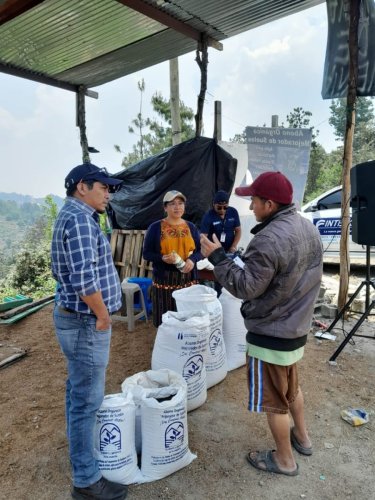 Compost Atitlán es comercializado en Chichicastenango