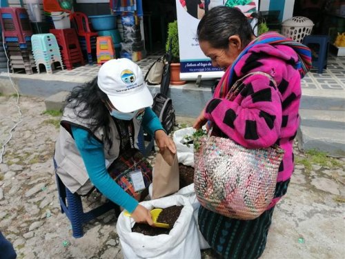 Mejorador de suelos promovido en Chichicastenango