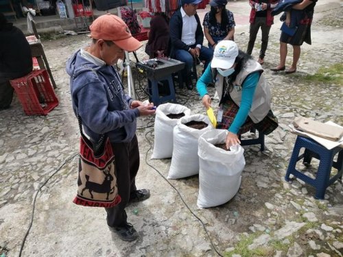 Mejorador de suelos promovido en Chichicastenango