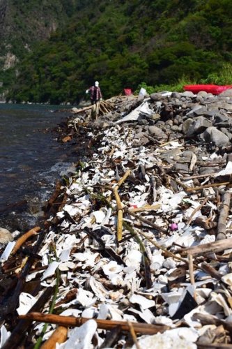 Comunitarios y jóvenes voluntarios limpian la desembocadura del río Quiscab  