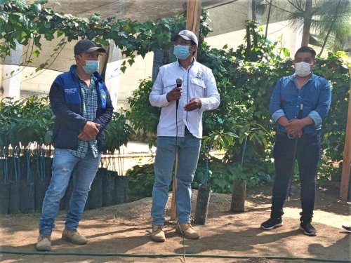 1600 plántulas son entregadas a la Municipalidad de Santa Lucía Utatlán para la implementación de sistemas agroforestales 