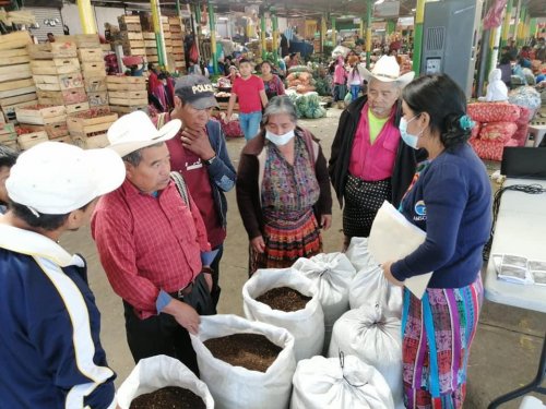 Abono Orgánico es promovido en agricultores de la cuenca del lago Atitlán 