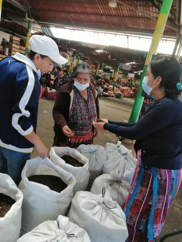 Abono Orgánico es promovido en agricultores de la cuenca del lago Atitlán 