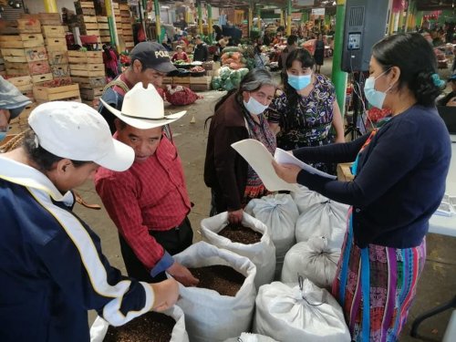 Abono Orgánico es promovido en agricultores de la cuenca del lago Atitlán 