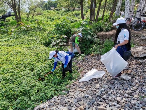 Instituciones se unen para conmemorar el día Mundial del Medio Ambiente