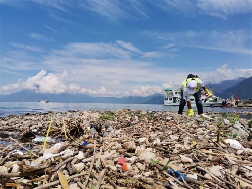 Instituciones se unen para conmemorar el día Mundial del Medio Ambiente