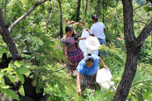 Unidos para el rescate y conservación de los recursos naturales de la cuenca del lago Atitlán 