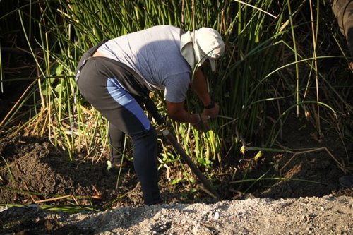 Contribuyendo a los ecosistemas del lago Atitlán