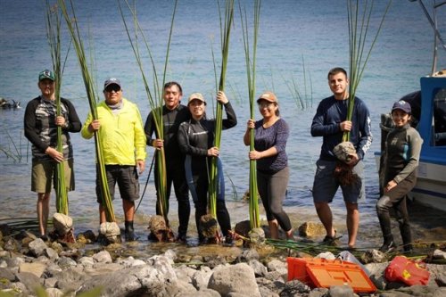 Contribuyendo a los ecosistemas del lago Atitlán