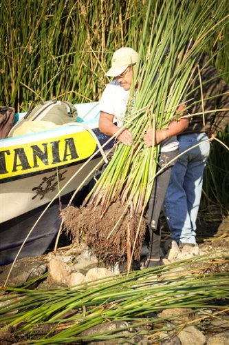 Contribuyendo a los ecosistemas del lago Atitlán