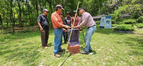 3600 plántulas de café son entregadas a agricultores beneficiarios de Santiago Atitlán