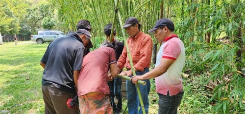 3600 plántulas de café son entregadas a agricultores beneficiarios de Santiago Atitlán