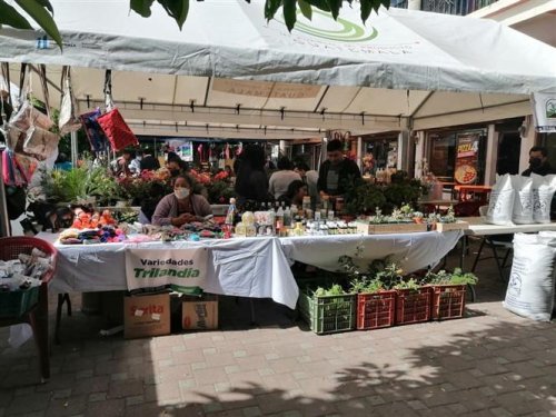 Primera exposición y mercado de productos locales Tz'olojya