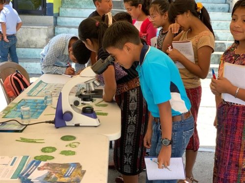 Feria ambiental día del reciclaje 