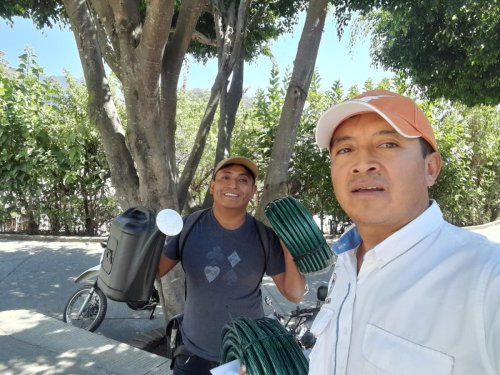 Incrementando la cobertura forestal de Atitlán