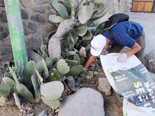 AMSCLAE participa en segunda jornada de limpieza en la desembocadura del río San Francisco