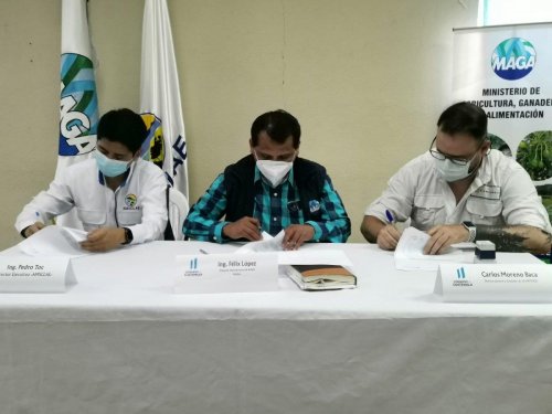 AMSCLAE, MAGA y la Organización Plantemos suscriben firma de convenio en beneficio de la conservación de la cuenca del lago de Atitlán
