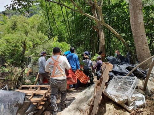 Donación de plántulas contribuirá al aumento de la cobertura forestal de la cuenca